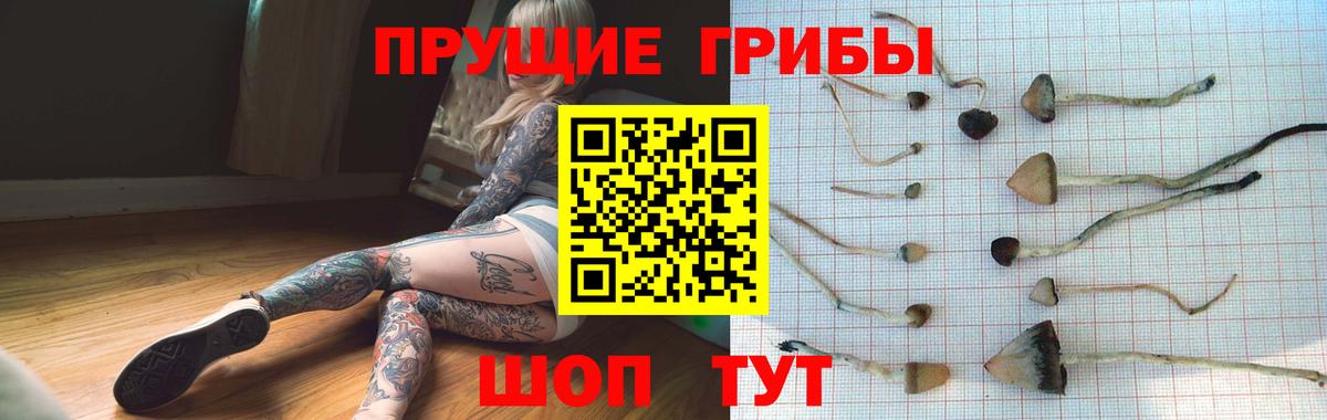 Псилоцибиновые грибы мухоморы  закладка  Рубцовск  Вход с VPN 
